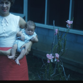 Photo of Jeanine VanKerckhove